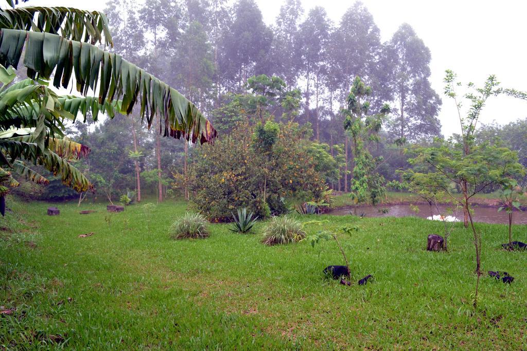 Pousada Guata Pora Foz do Iguacu Bagian luar foto