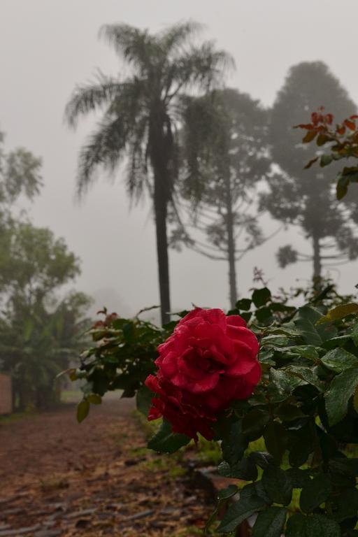 Pousada Guata Pora Foz do Iguacu Bagian luar foto